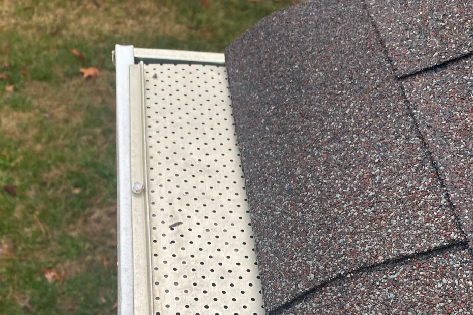 Gutter Cleaning Mariner