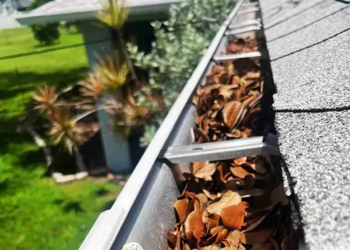 Gutter Cleaning Mariner home page